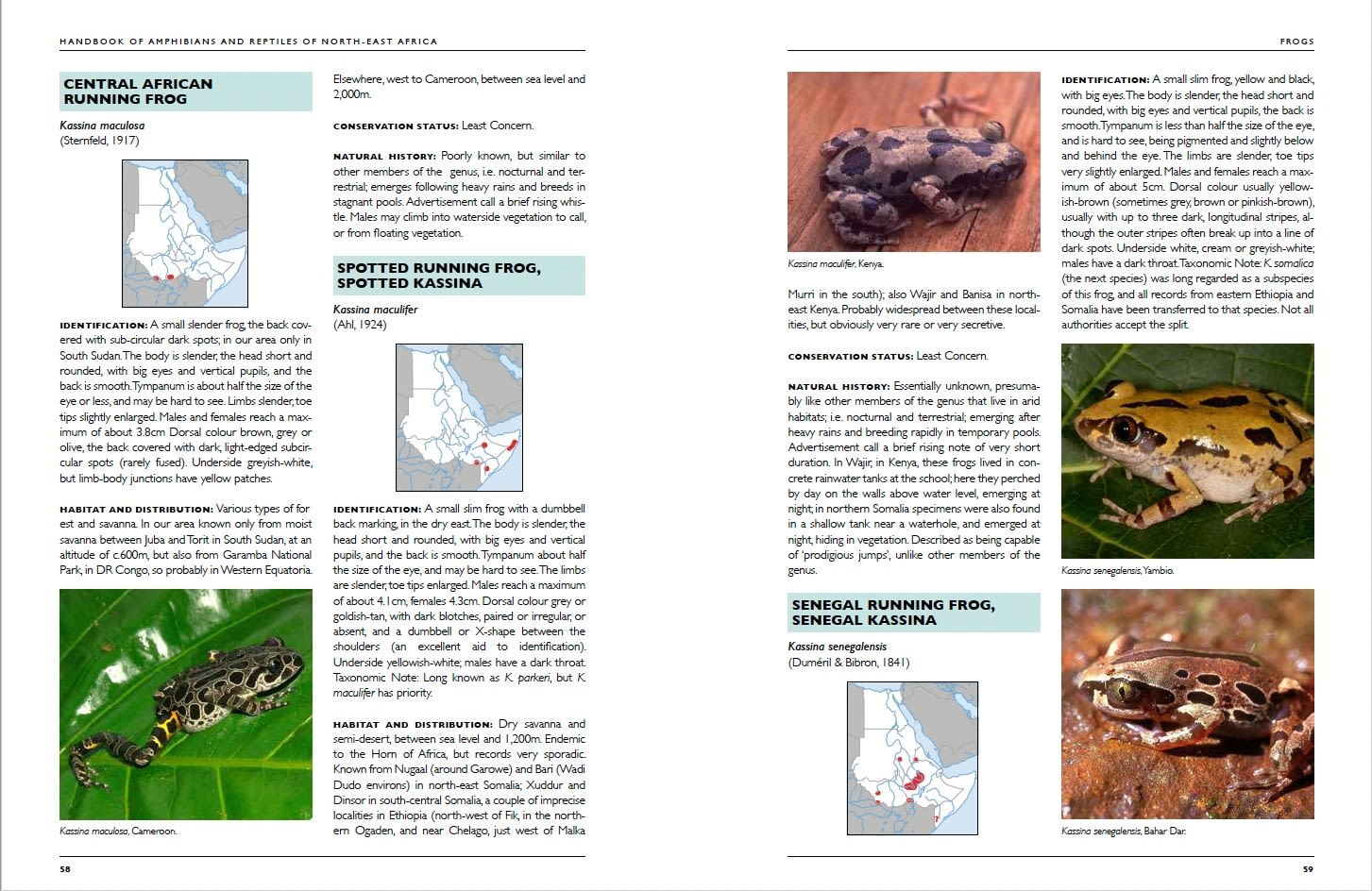Handbook of Amphibians and Reptiles of North-East Africa