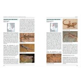 Handbook of Amphibians and Reptiles of North-East Africa