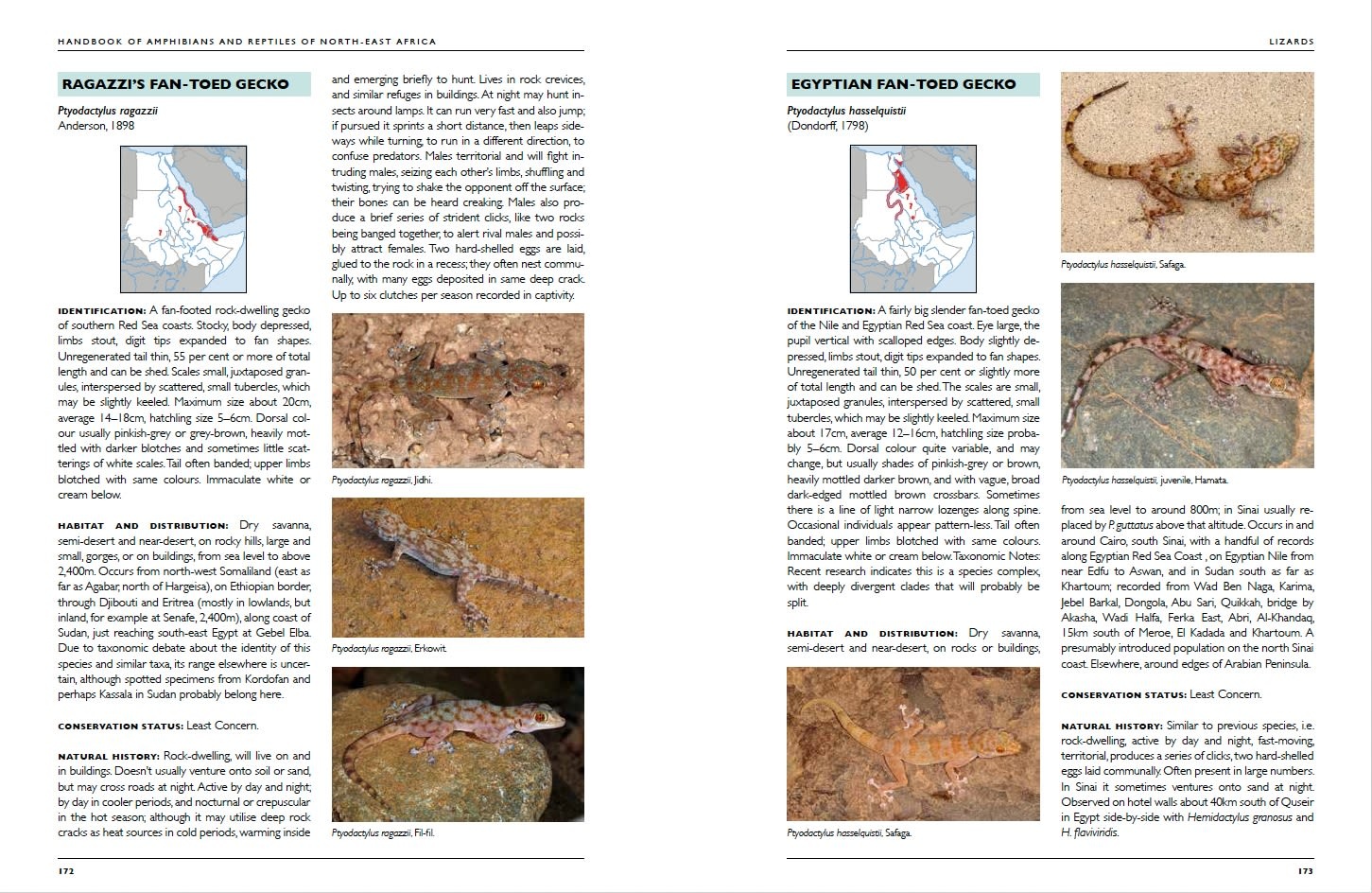 Handbook of Amphibians and Reptiles of North-East Africa