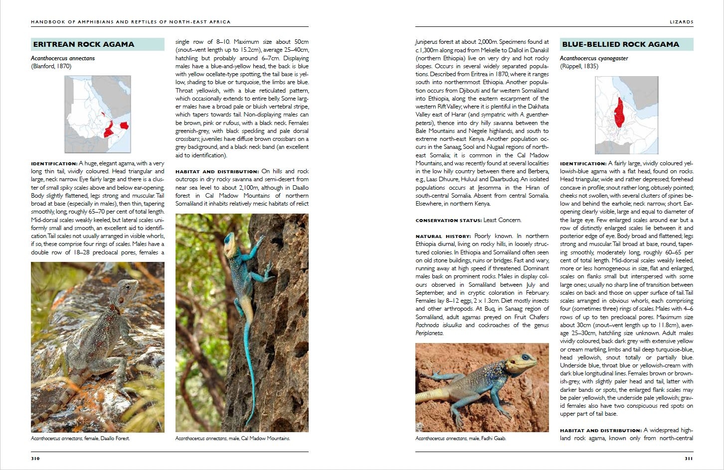 Handbook of Amphibians and Reptiles of North-East Africa