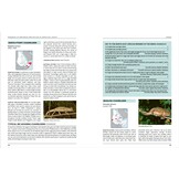 Handbook of Amphibians and Reptiles of North-East Africa