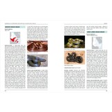 Handbook of Amphibians and Reptiles of North-East Africa