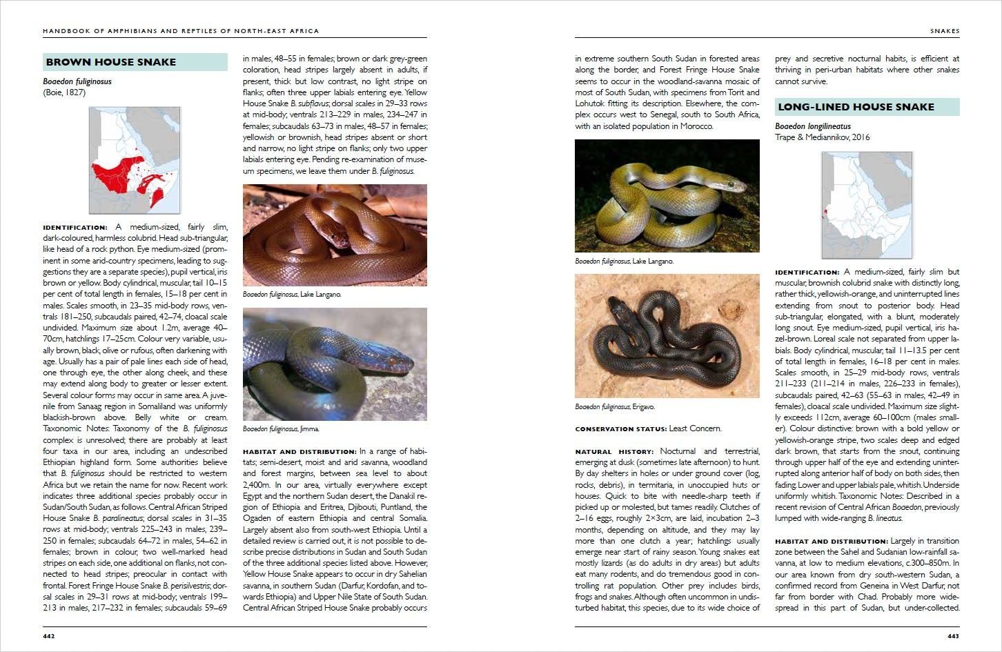 Handbook of Amphibians and Reptiles of North-East Africa