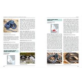 Handbook of Amphibians and Reptiles of North-East Africa