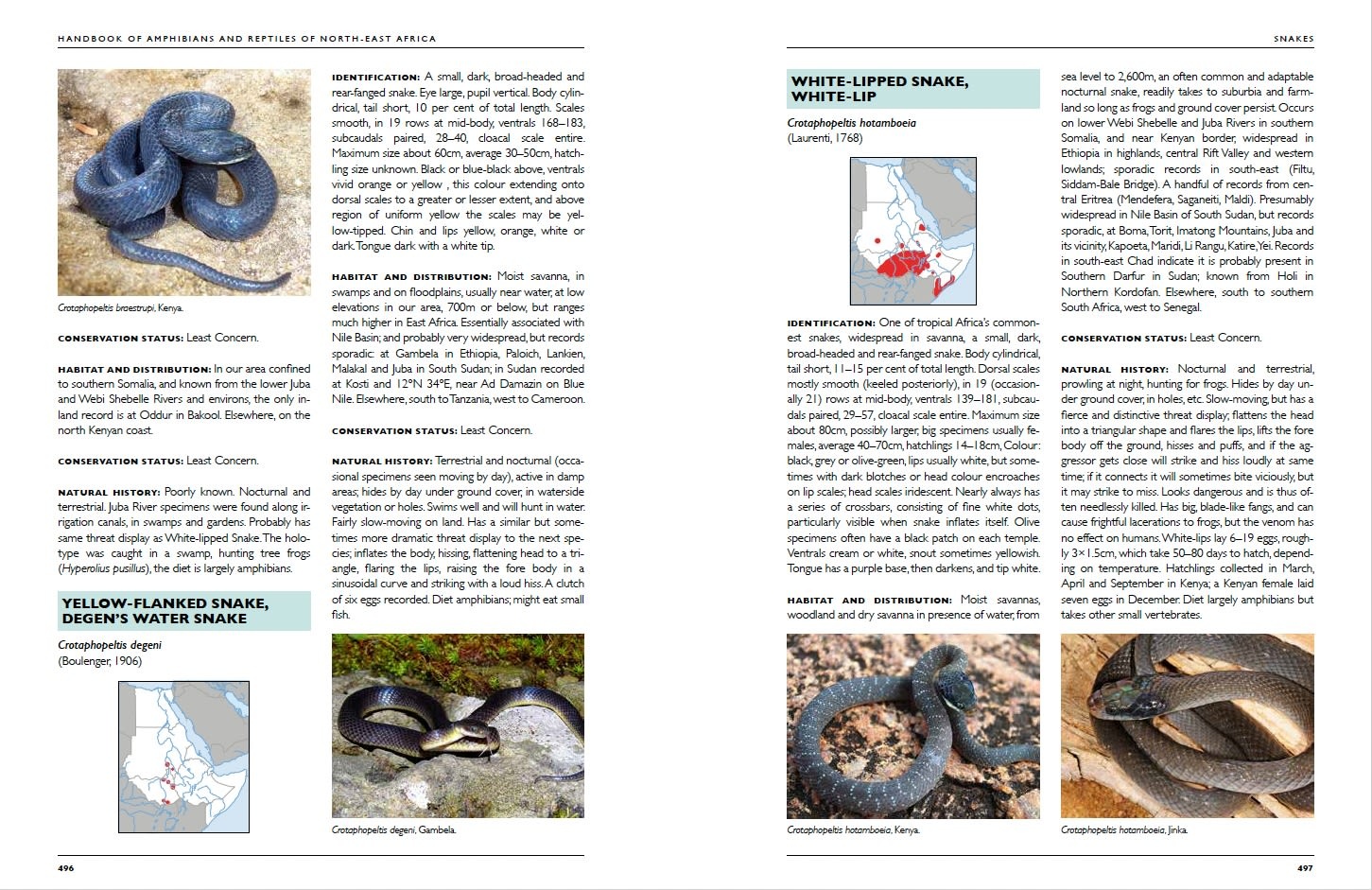 Handbook of Amphibians and Reptiles of North-East Africa