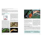 Handbook of Amphibians and Reptiles of North-East Africa