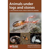 Animals under logs and stones