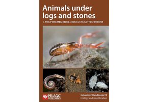 Animals under logs and stones