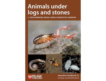 Animals under logs and stones