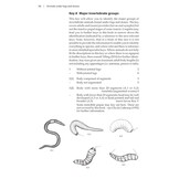 Animals under logs and stones