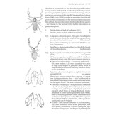 Animals under logs and stones