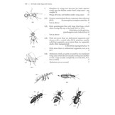 Animals under logs and stones