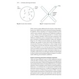 Animals under logs and stones