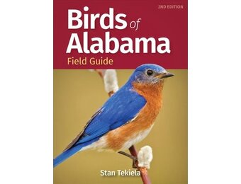 Birds of Alabama Field Guide