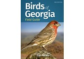 Birds of Georgia Field Guide
