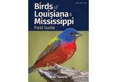 Birds of Louisiana & Mississippi Field Guide
