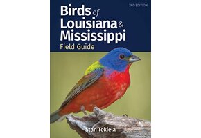 Birds of Louisiana & Mississippi Field Guide