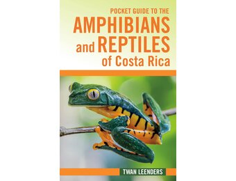 Pocket Guide to the Amphibians and Reptiles of Costa Rica