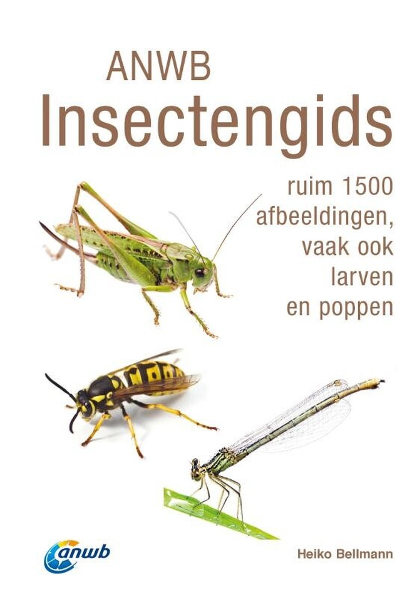 ANWB Insectengids - ruim 1.500 afbeeldingen, vaak ook larven en poppen