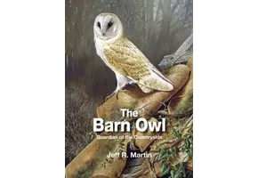 The Barn Owl