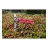 HOBO TidbiT MX Externe Temperatuur Datalogger MX2205