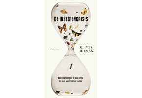 De insectencrisis