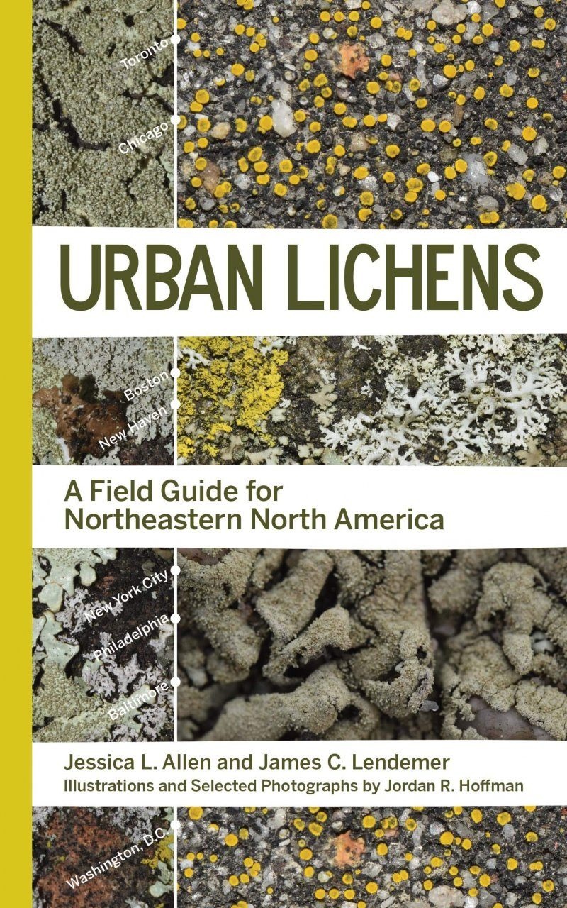Urban Lichens - A Field Guide for Northeastern North America