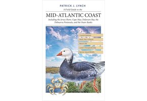A Field Guide to the Mid-Atlantic Coast
