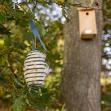 Kapok bird nesting material