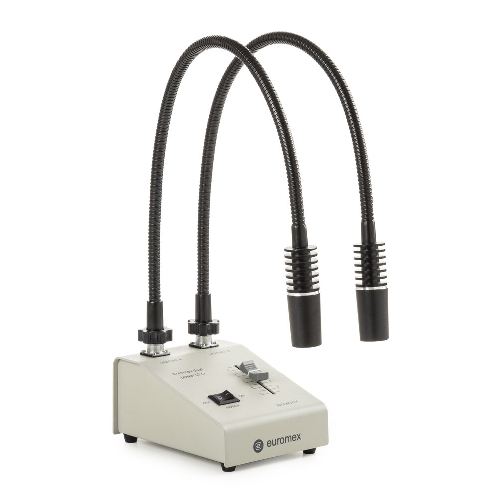 Euromex Cold light source