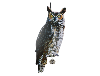 Vogelverschrikker Oehoe