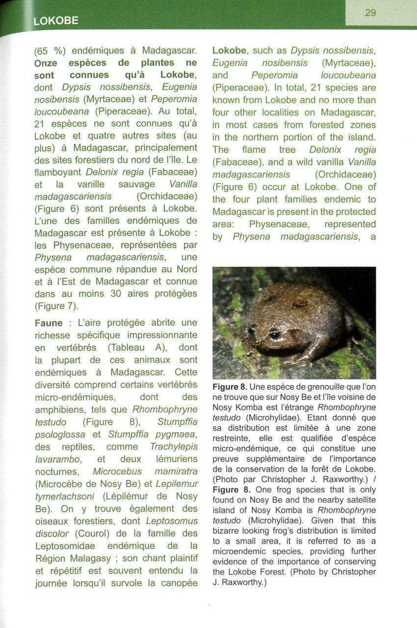 Les Aire Protégées de Lokobe, Ankarana et de la Montagne d'Ambre dans la Partie Nord de Madagascar / The Protected Areas of Lokobe, Ankarana, and Montagne d'Ambre in Northern Madagascar