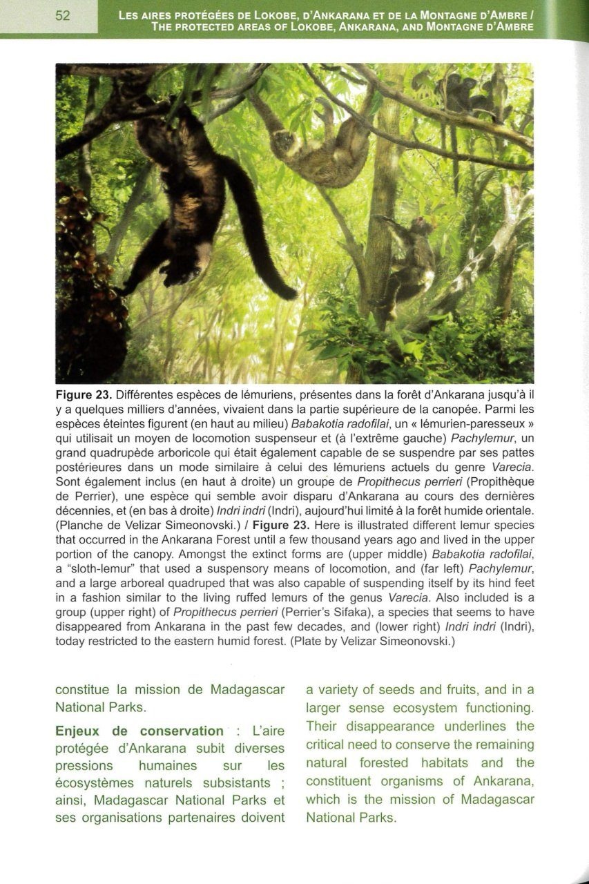 Les Aire Protégées de Lokobe, Ankarana et de la Montagne d'Ambre dans la Partie Nord de Madagascar / The Protected Areas of Lokobe, Ankarana, and Montagne d'Ambre in Northern Madagascar