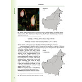 The Endemic Plant Genera of Borneo