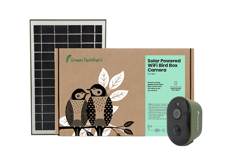 Green Feathers Solarbetriebene W-lan Vogelhäuschen Kamera