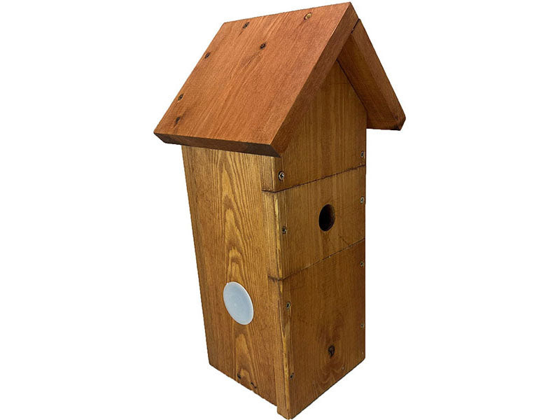 Green Feathers Solar Camera ready Bird Box