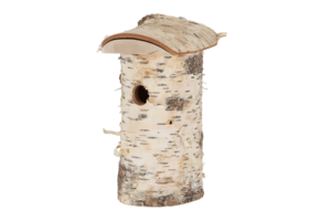 Bird House Blue Tit Birch