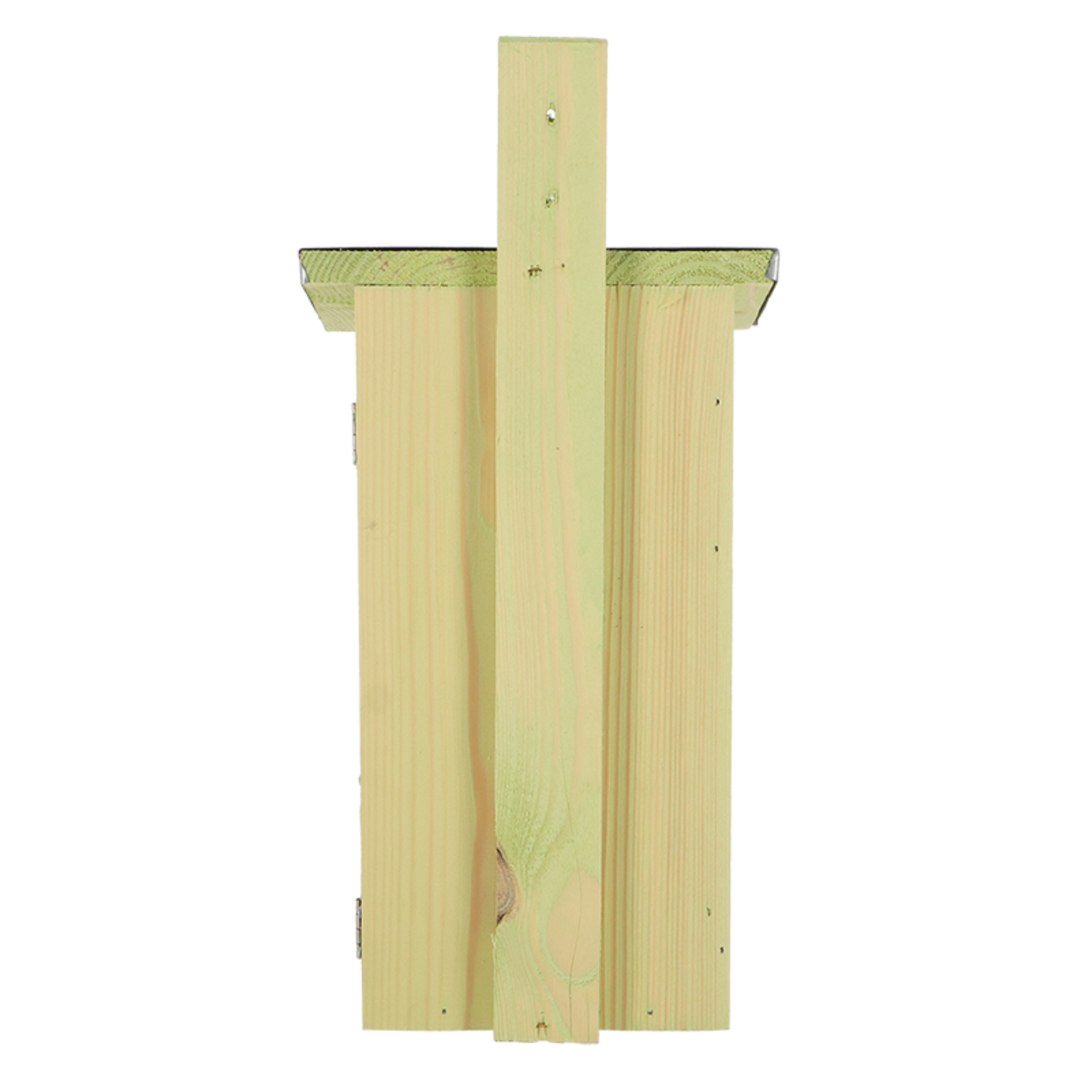 Nest box observation