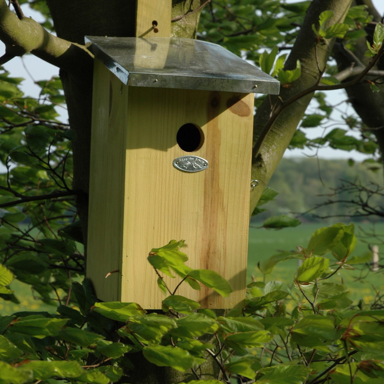 Observatienestkast