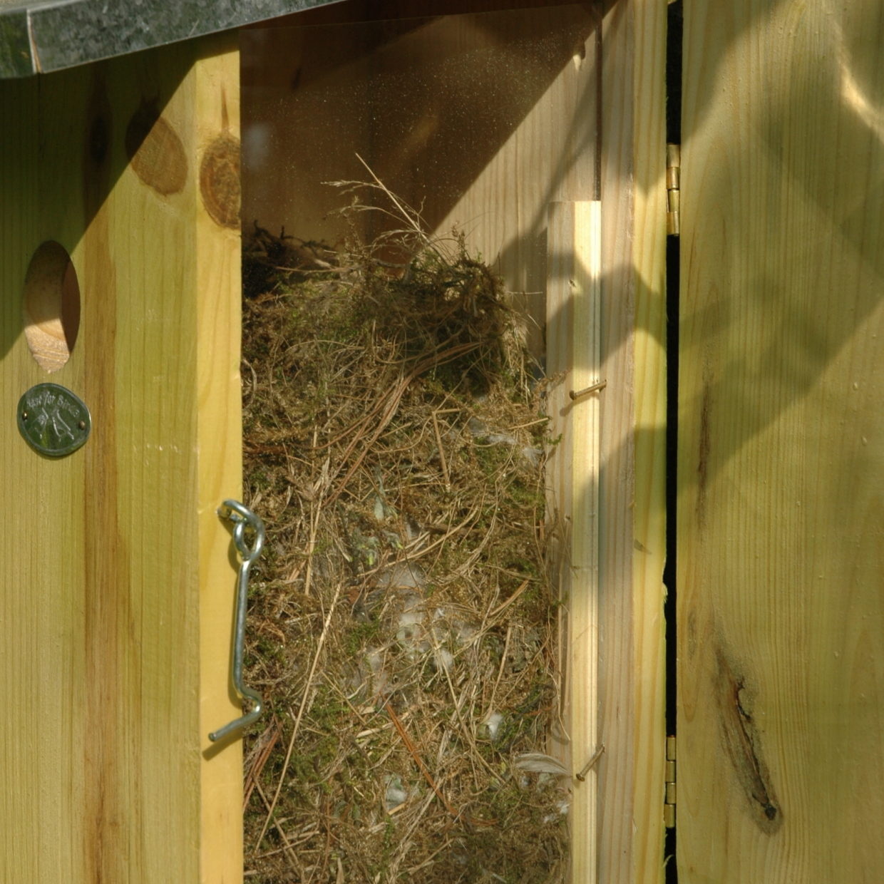 Observatienestkast