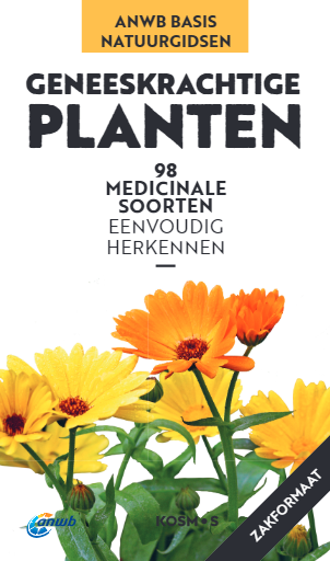 ANWB Basis Natuurgids - Geneeskrachtige planten - 98 medicinale soorten eenvoudig herkennen