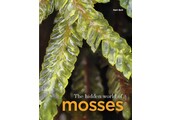 The Hidden World of Mosses