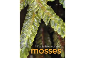 The Hidden World of Mosses