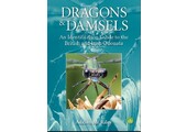 Dragons and Damsels