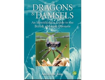 Dragons and Damsels