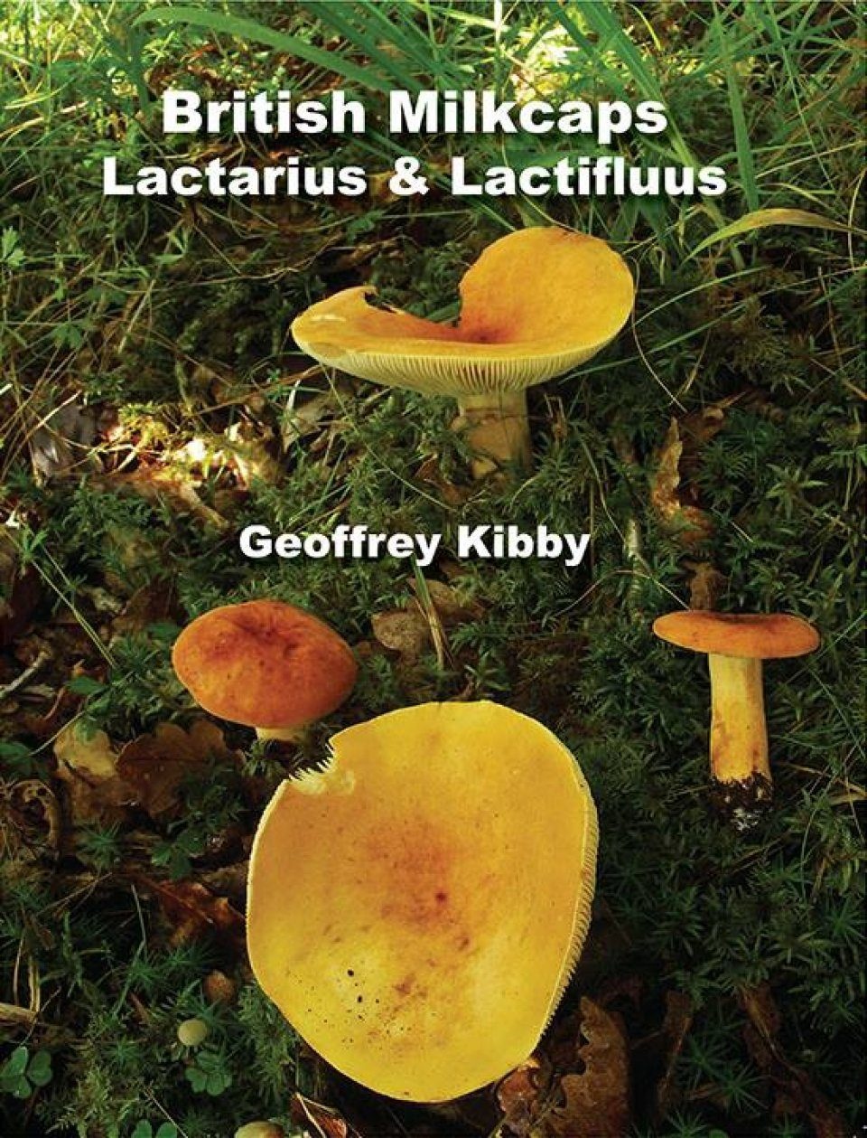 British Milkcaps - Lactarius & Lactifluus