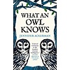 What an owl knows