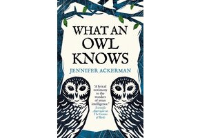 What an owl knows