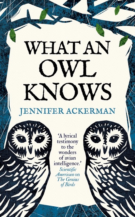 What an owl knows
