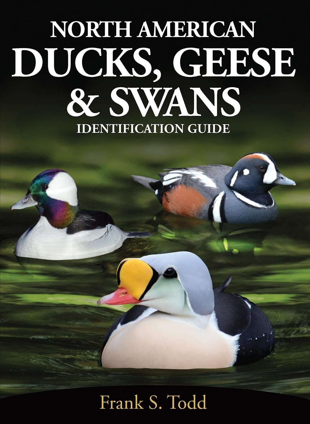 North American Ducks, Geese and Swans - Identification Guide